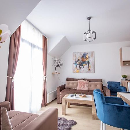 Apartments View Dvori E25 コパオニク エクステリア 写真