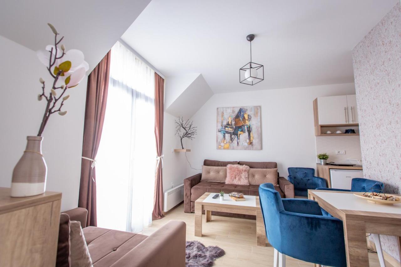 Apartments View Dvori E25 コパオニク エクステリア 写真